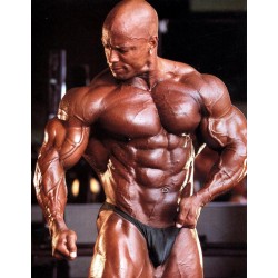 Бодибилдинг (Культуризм) Бодибилдинг (Культуризм)